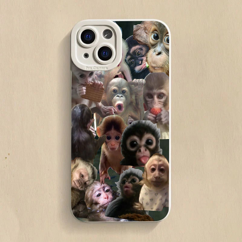 Coque de téléphone drôle avec  - Samsung Galaxy S25 avis et prix